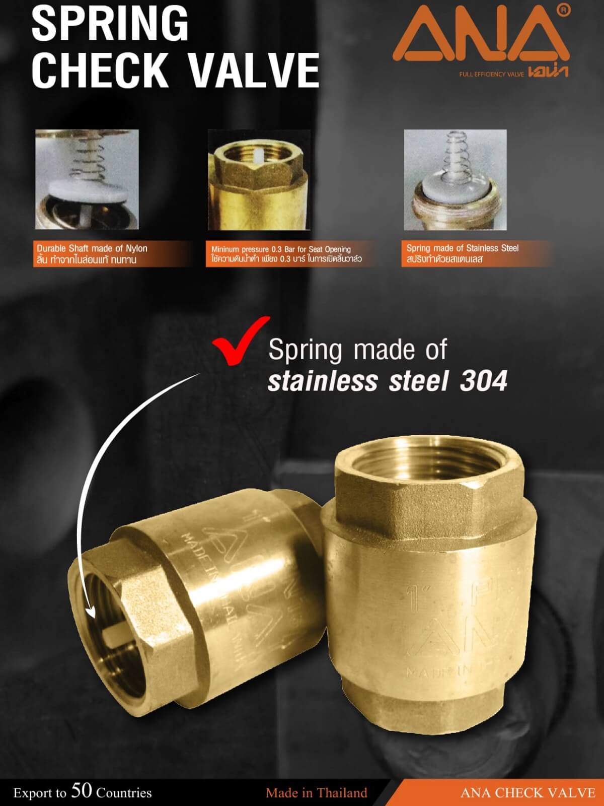Spring Check Valve – Aquaplex FZE